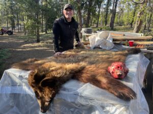 sk-bear-hunting-pilots-lodge-010