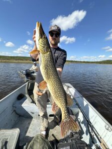 pike-fishing-pilots-lodge-LH-2025-103 pike-fishing-pilots-lodge-LH-2025-103