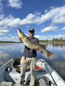 pike-fishing-pilots-lodge-LH-2025-116 pike-fishing-pilots-lodge-LH-2025-116